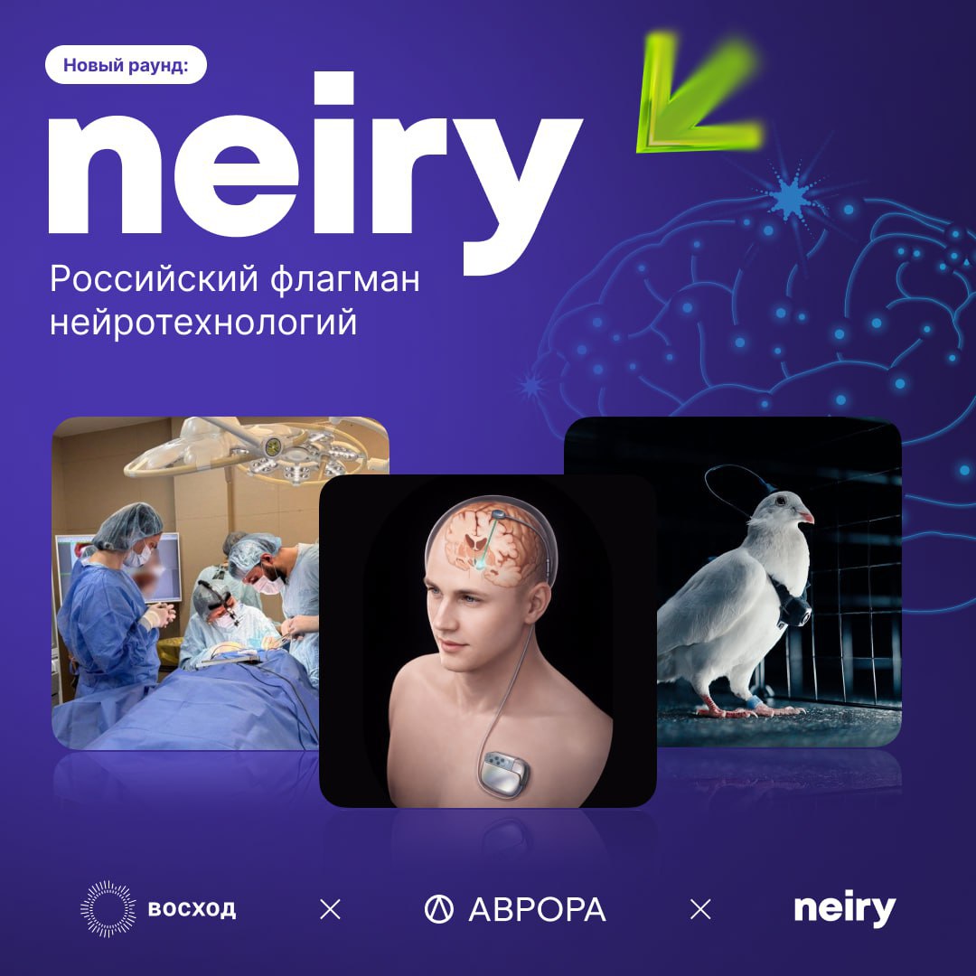 Запускаем раунд Neiry на платформе Аврора image preview