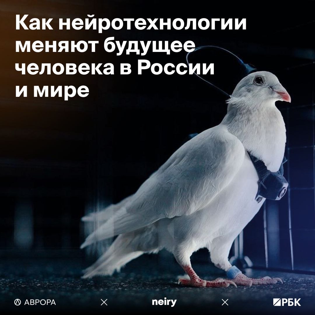 Нейротехнологии: как научить мозг говорить с компьютером image preview