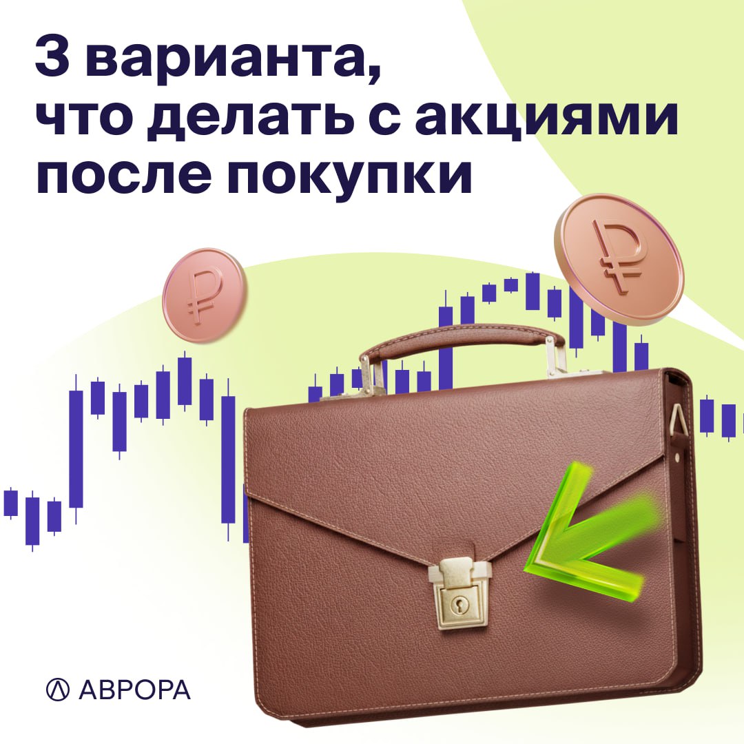 Вы инвестировали на Авроре. Что происходит дальше? image preview