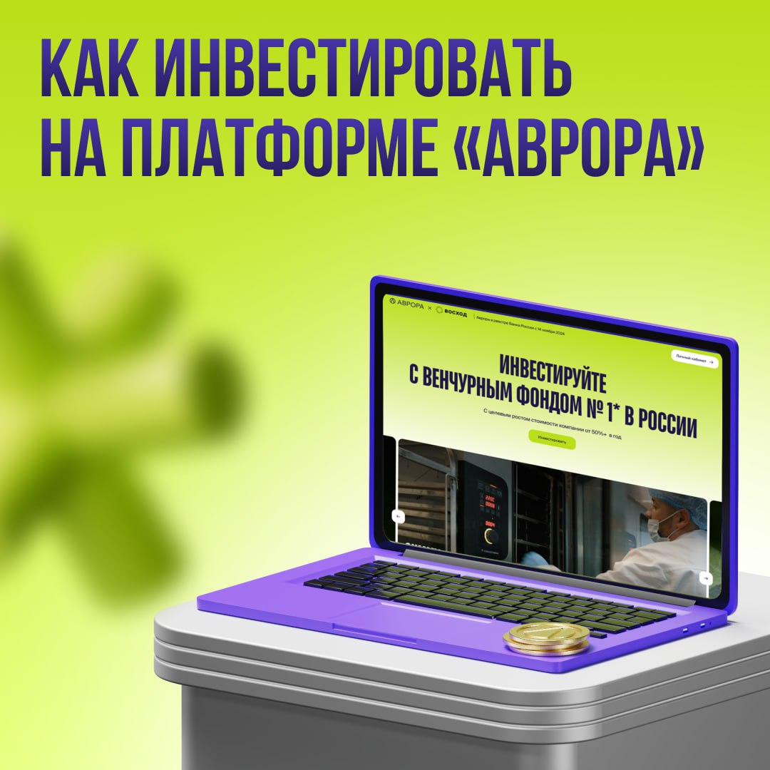 5 шагов, чтобы начать инвестировать на Аврору image preview